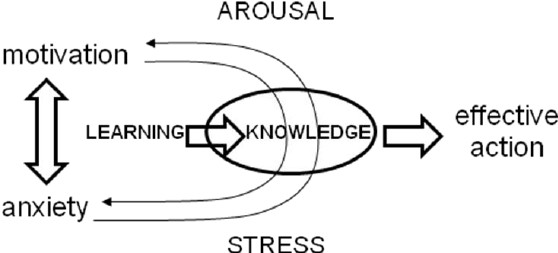 Dealing with Exam Stress-When Pressure Becomes Too Much