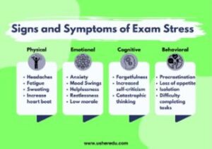 Dealing with Exam Stress-When Pressure Becomes Too Much