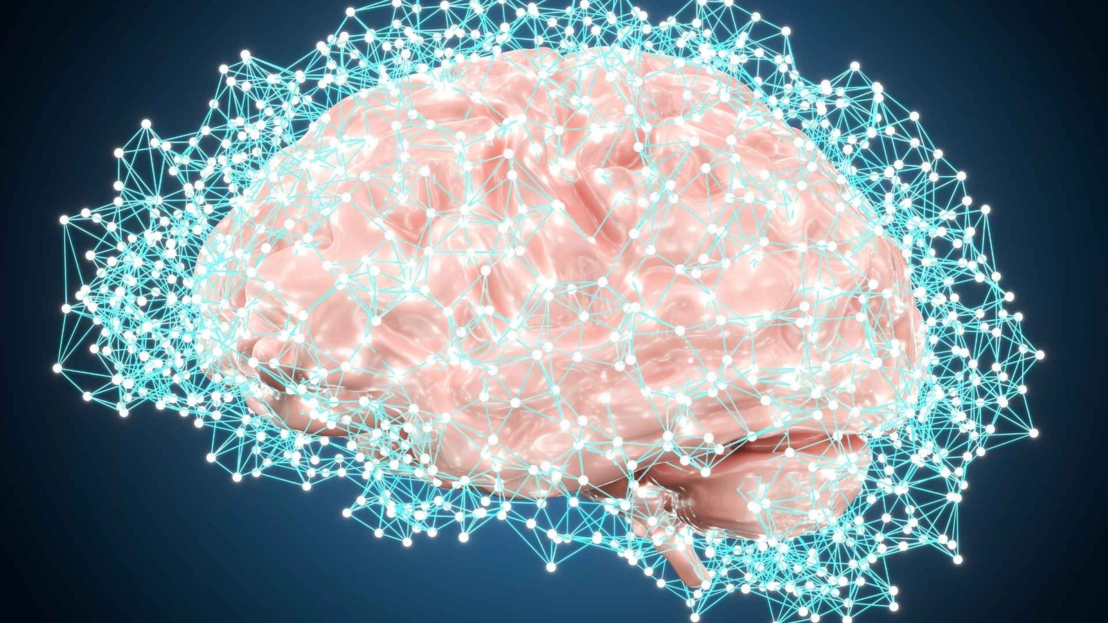 biohacking mindfulness