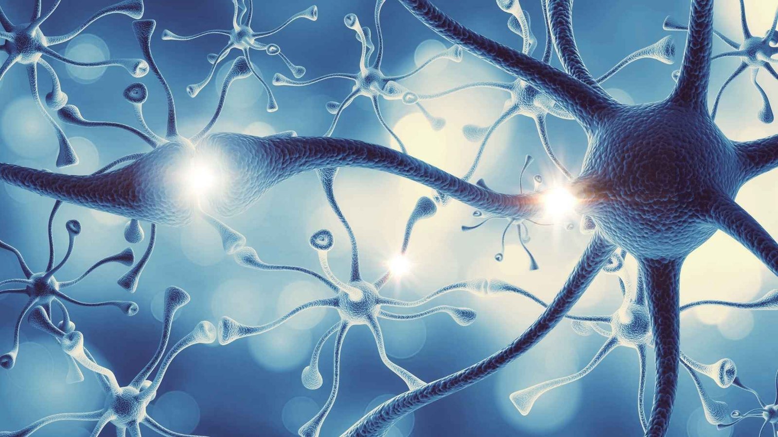 biohacking mindfulness