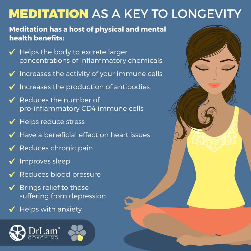 Meditation for Longevity Benefits Mindfulness Wholeness
