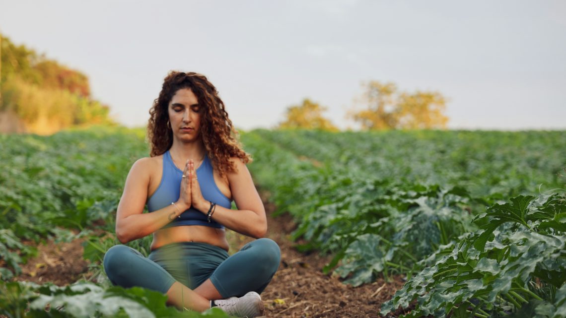 Neuroscience of peak performance Mindfulness wholeness