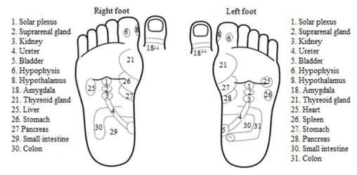 Reflexology and Shiatsu therapy Mindfulness