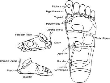 Shiatsu therapy, reflexology Mindfulness