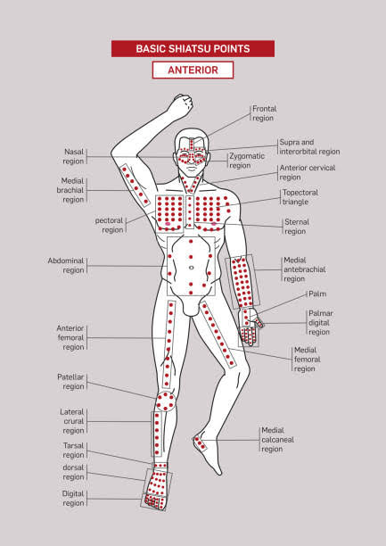 Shiatsu therapy, reflexology, and mindfulness practices for managing perimenopause symptoms naturally and promoting overall wellness.Shiatsu therapy, reflexology, and mindfulness practices for managing perimenopause symptoms naturally and promoting overall wellness.