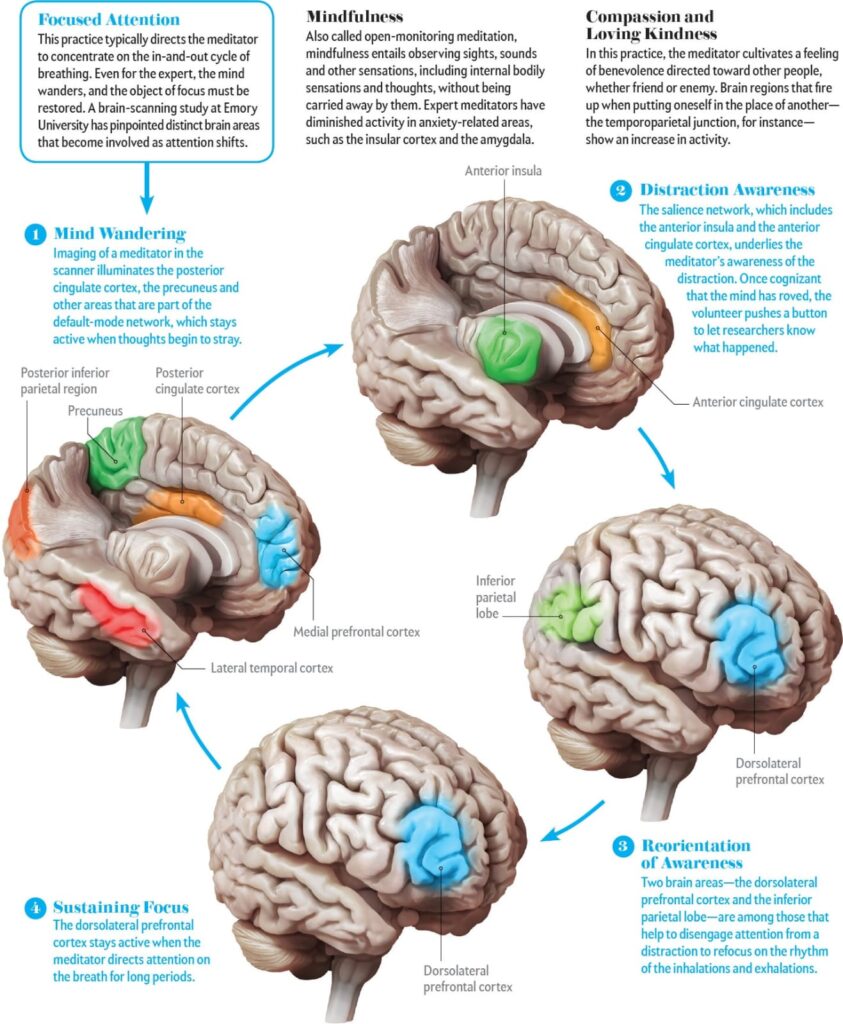 Mindfulness in Executive Leadership