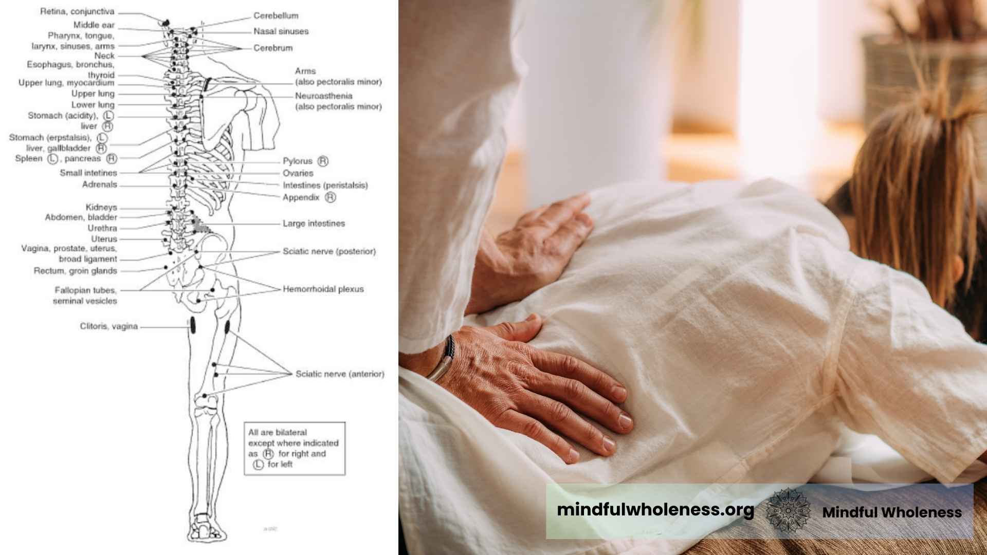 Spinal reflexology & Shiatsu therapy guide by Mindfulwholeness, Mumbai