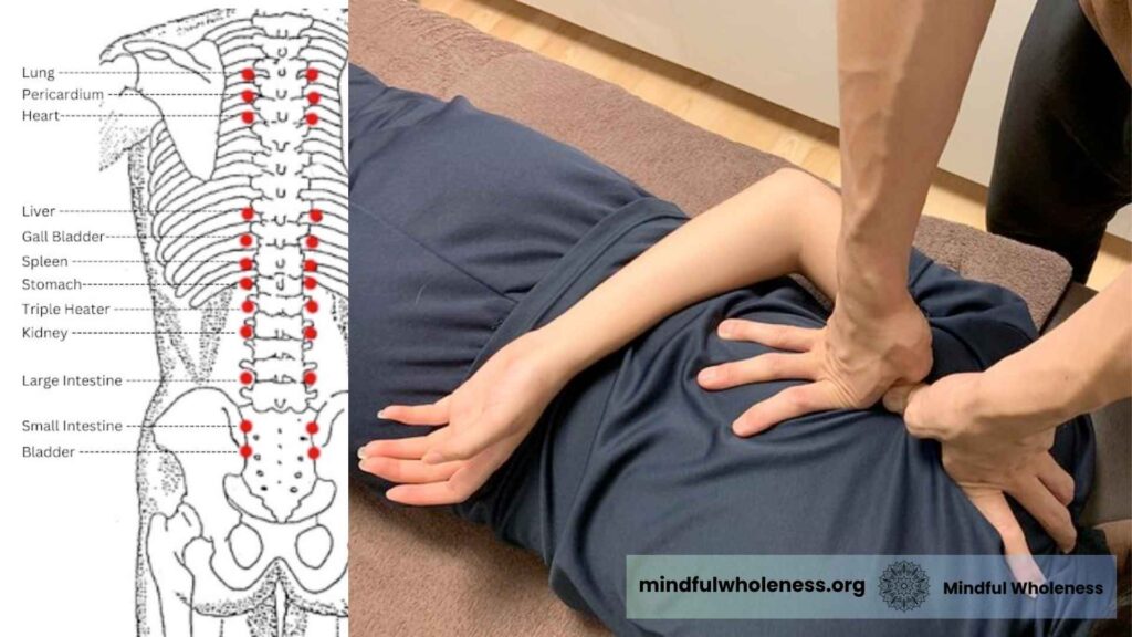 Spinal reflexology chart & Shiatsu therapy application by Mindfulwholeness, Mumbai