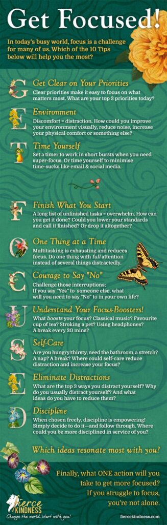 Train Attention With Mindfulness Wholeness